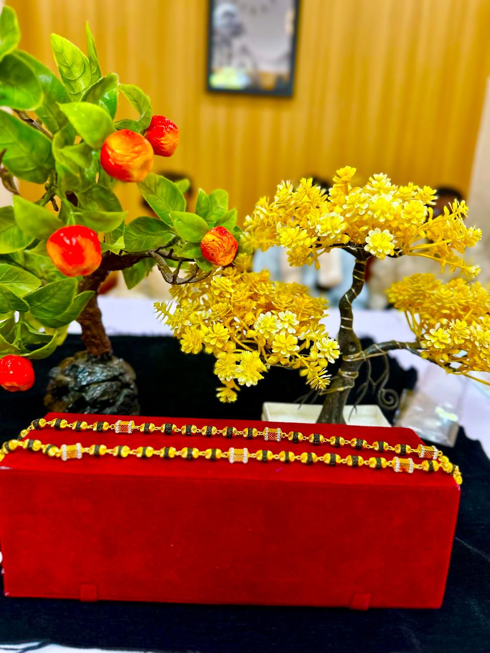 24 Carat Real Gold Plated Rudraksh Mala 30% Refund Promise | રુદ્રાક્ષ માળા 24 કેરેટ સોનાની પલેટિંગ સાથે